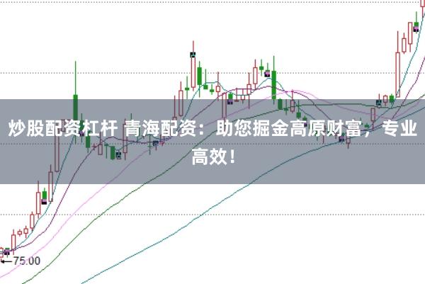炒股配资杠杆 青海配资：助您掘金高原财富，专业高效！
